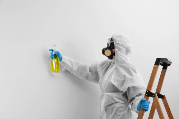 Best Mold Odor Removal Services in La Cresta, CA